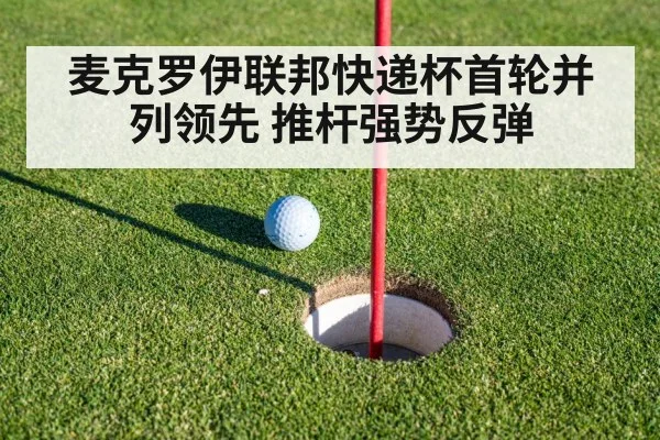 麦克罗伊联邦快递杯首轮并列领先 推杆强势反弹